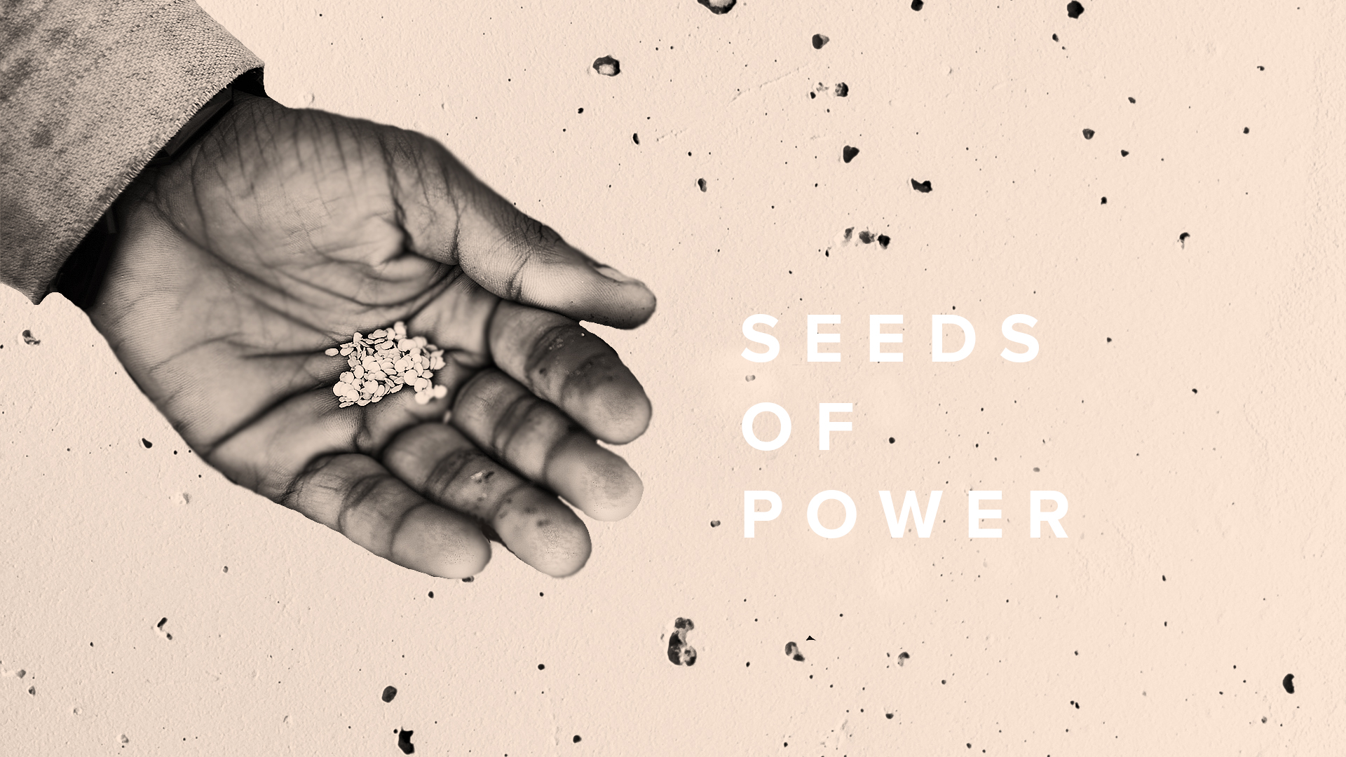 The Most Important Seed